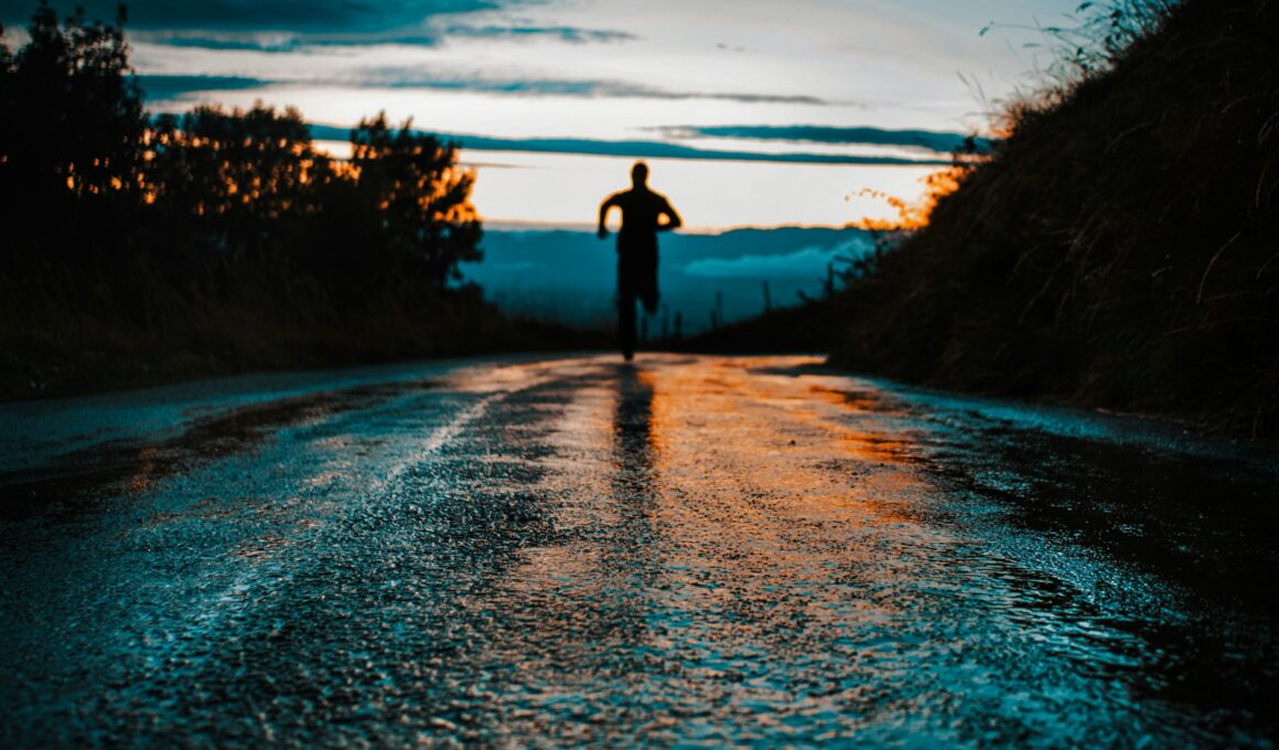 silhouette photo of a person running on road