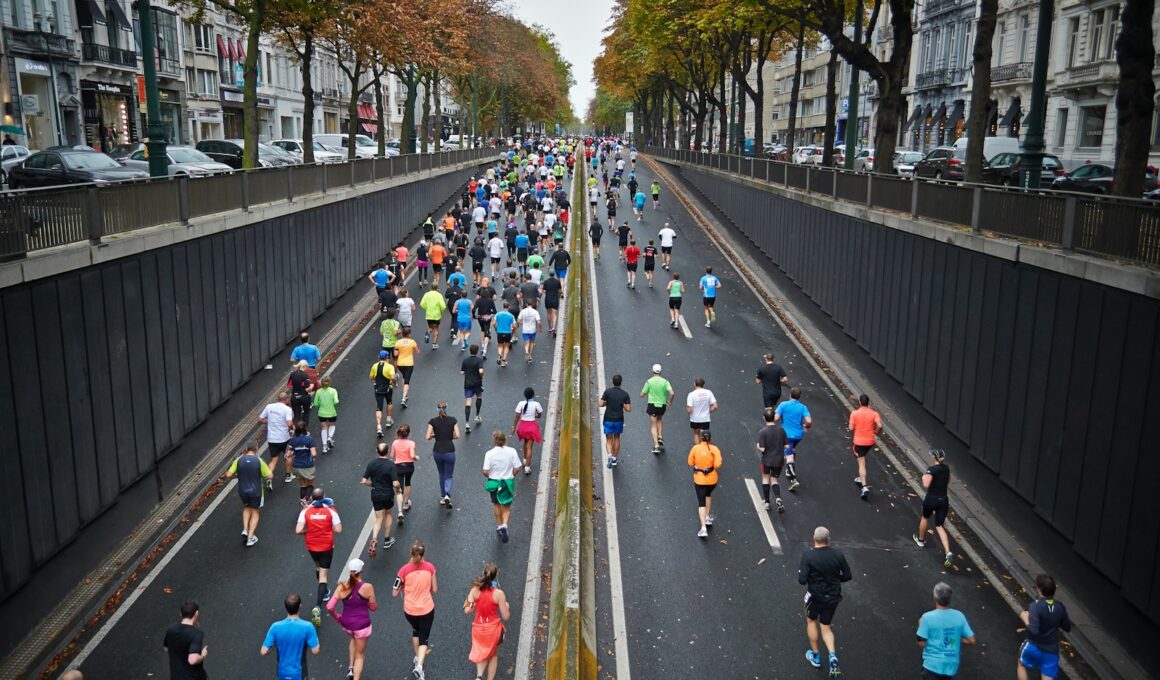 people running on road during daytime